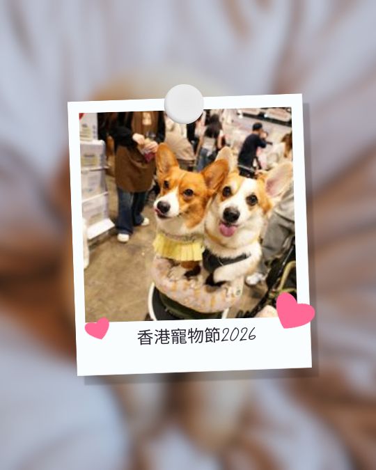 香港寵物節 2026