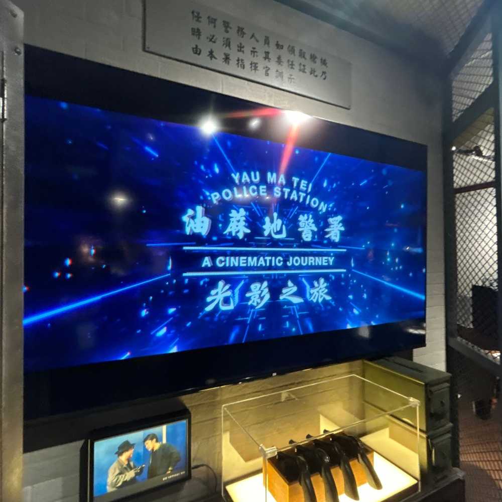 The exhibition opens to the public, attracting numerous film enthusiasts.